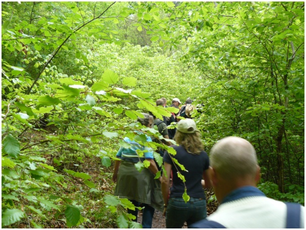 584x433 pixels (180K)